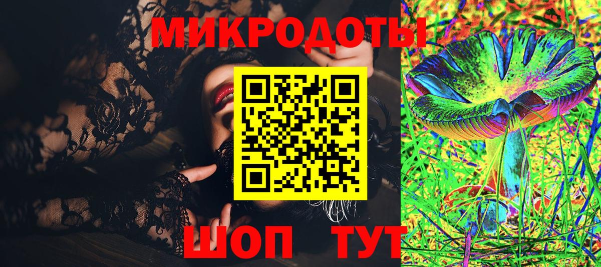 Псилоцибиновые грибы прущие грибы Камень-на-Оби