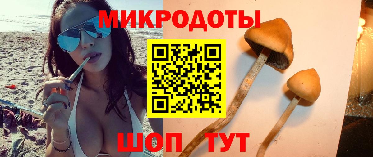 Камень-на-Оби  Псилоцибиновые грибы Magic Shrooms  Вход с VPN  Галлюциногенные грибы MAGIC MUSHROOMS 